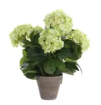 MICA Artificial flower in a pot. hydrangea. baltas col.. 45 cm