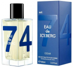 Kvepalai vyrams Iceberg Eau de Iceberg Cedar EDT, 100 ml