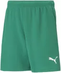 Puma &Scaron;ortai Paaugliams Teamrise Short Jr Žalias 704943 05