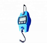 Virtuvinės svarstyklės Mini kraninės svarstyklės 300 kg