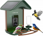 Camouflage Gamtos kamera EZ Birdfeed 1