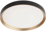 Lubinis &scaron;viestuvas 45W LED plafonas CASTER, matinės aukso sp./juodas, 4000K