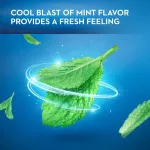 Dantų &scaron;epetėlis Oral B Mint Satin Floss dantų siūlas, 25 m