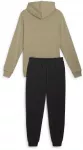 Puma Sportinis Kostiumas Vyrams Squad Hooded rusvai gelsvas Juodas 681901 67