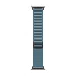 &bdquo;Apple&ldquo; 49 mm &scaron;viesiai mėlynas &bdquo;Alpine Loop&ldquo; &ndash; vidutinio dydžio &ndash; juodo titano apdaila