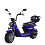 Dayi Motor Elektrinis motoroleris E-baldur A9 OFFROAD EEC