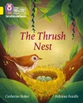 KNYGA Catherine Baker Thrush Nest