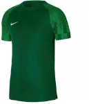 Nike Academy Jaunes T-mar&scaron;kiniai DH8369 302