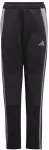 Adidas Tiro 24 Winterized Jr kelnės IM9975