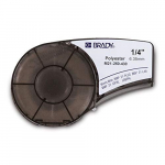 Brady Juoda ant permatomo