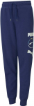 Puma Kelnės Paaugliams Alpha Sweatpants Mėlyna 585895 12