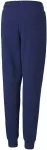 Puma Kelnės Paaugliams Alpha Sweatpants Mėlyna 585895 12