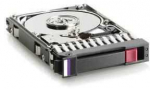 Hewlett Packard (HP) 300GB fibre channel drive 15K **Refurbished** (Atnaujinta)