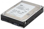 Hewlett Packard (HP) 450GB 6GA15K rpm LFF (3.5inch) **Refurbished** (Atnaujinta)