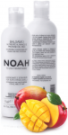 Noah 2.1. maitininantis Conditioner With Mango And Rice Proteins Maitinamasis balzamas lengvinantis plaukų i&scaron;&scaron;ukavimą, 250 ml