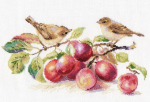 Alisa Beldizart Warblers & Plums S5-17