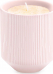 AmeliaHome ŽVAKIDĖLIS/AH/PASO/POWDER Rožinis/9X9,8