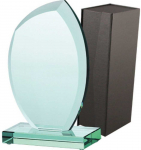 Tryumf Stiklinis trofėjus su dėklu