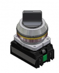 Promet 2 padėčių atbulinis jungiklis 30 mm IP56 &ndash; W0-NEF30-P XY S