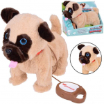 Jokomisiada Interaktyvus pliu&scaron;inis &scaron;uo BENIO vaik&scaron;to loja, vizgina uodegą ZA5365