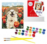 Art Active Ideyka Tapybos pagal skaičius rinkinys &bdquo;Laimingas labradoras&ldquo; 40x50 AP0042