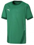 Puma Mar&scaron;kinėliai Paaugliams TeamGoal 23 Jerse Žalias 704160 05