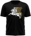 KS Vaiki&scaron;ki Mar&scaron;kinėliai Senovinis Vytis, Dydis: 2 metai