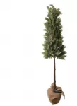 Mondex Christmas decoration Tree on stem. 106 cm