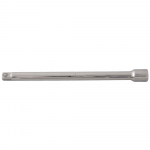 Proline Prailgintuvas 1 2 250 mm