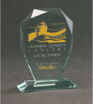 Graviruotas stiklinis trofėjus su dėklu