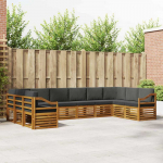 Lauko sofos komplektas 10 pcs Natūralus ir antracitas