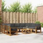 Lauko sofos komplektas 10 pcs Natūralus ir antracitas