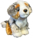 Dubi Plusz Pies australijski 19cm 34052