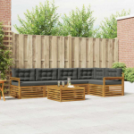 Lauko sofos komplektas su pagalve 6 pcs Natūralus ir antracitas