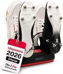 ShoeDry elektrinė batų džiovyklė dviem poroms su aktyviuoju deguonimi, 110 W, ShoeDry 2 Pair