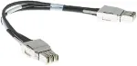 Cisco 1M Type 1 sujungimo kabelis (STACK-T1A-1M=)