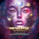 Vinilinė plok&scaron;telė Reverze Synergy Sound Rush Mix