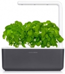 I&scaron;manus namų sodas Click & Grow Smart Indoor Garden 3, pilkas