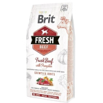Brit Fresh Dog Jautiena su moliūgas Puppy Large 12kg