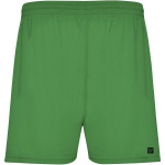 Vulcan &scaron;ortai