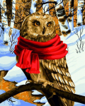 Wizardi Beldizart Dailininko rinkinys 40x50 cm L022