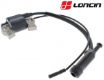 UŽDEGIMO RITĖ LONCIN G240, G270