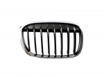 BMW Priekinis De&scaron;inysis Grillis X1 F48 2014 2019 Originalus 51117383364