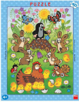 Frame Dėlionės dinozaurų rėmelis 40 dalių, mažas kurmis