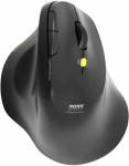 Port Designs PORT CONNECT Ergo Soft COLLECTION, belaidė pelė, USB-A/Bluetooth, 2.4GHz, 1600DPI, juodos spalvos