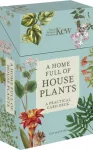 KNYGA Kay Maguire Home Full of House Plants