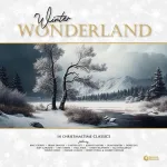 Various - Winter Wonderland (14 Christmastime Classics) (180 gram) 1LP (vinilinė plok&scaron;telė)
