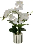 Dirbtinė orchidėja su keraminiu dryžuotu vazonu ASIA, 50 x 81 cm
