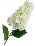 Hortenzija 77cm graži dirbtinė gėlė puo&scaron;mena pik dekoracija premium hortenzijos