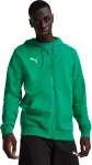 Puma Džemperis Vyrams TeamGoal Casuals Hooded Žalias 658595 05